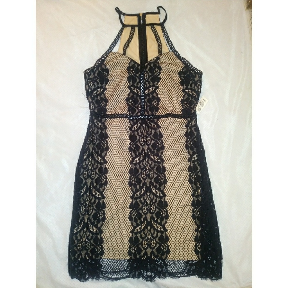Sexy Lace Dress